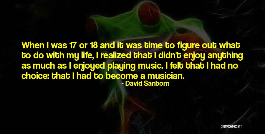 Enjoy Life With Music Quotes By David Sanborn