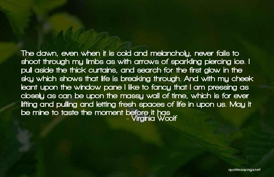 Enjoy My Time Quotes By Virginia Woolf Enjoy My Time Quotes By Virginia Woolf