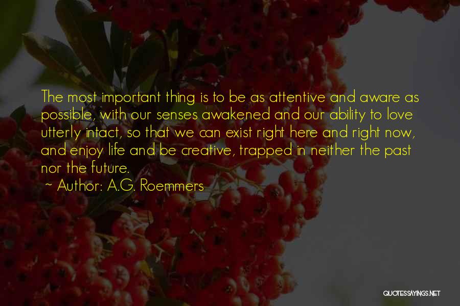 Enjoy Right Now Quotes By A.G. Roemmers