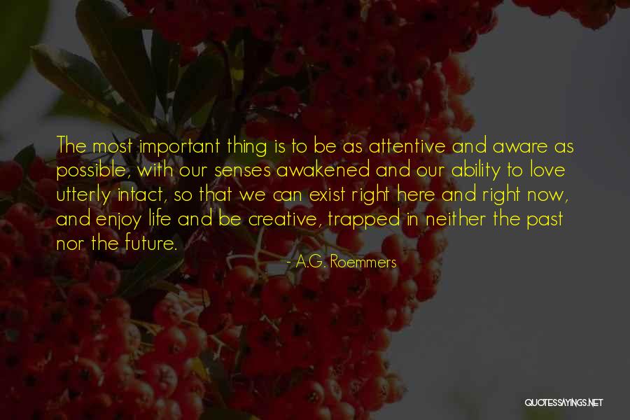 Enjoy Right Now Quotes By A.G. Roemmers