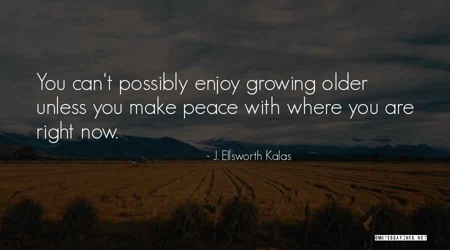 Enjoy Right Now Quotes By J. Ellsworth Kalas