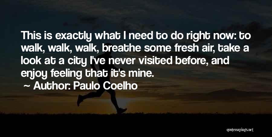 Enjoy Right Now Quotes By Paulo Coelho