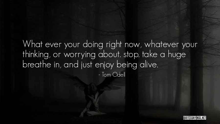 Enjoy Right Now Quotes By Tom Odell