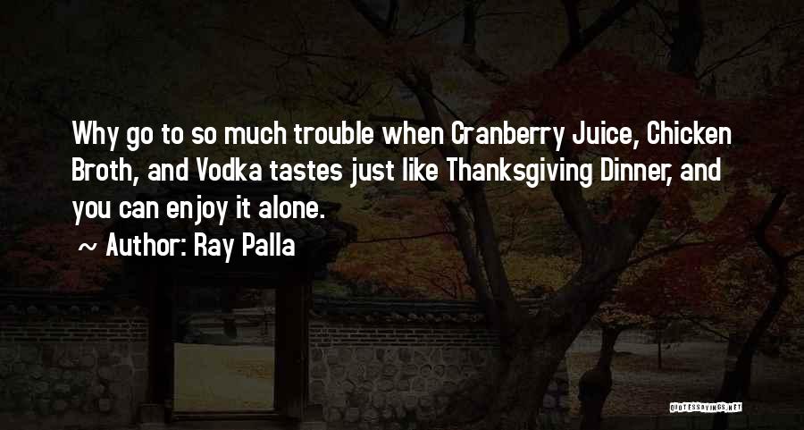 Enjoy The Holidays Quotes By Ray Palla