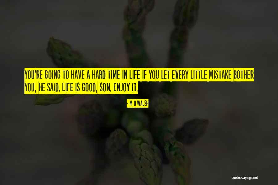 Enjoy The Little Things In Life Quotes By M O Walsh