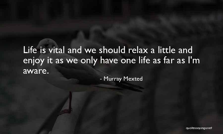 Enjoy The Little Things In Life Quotes By Murray Mexted