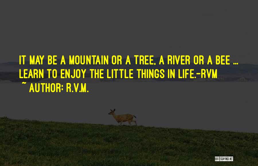 Enjoy The Little Things In Life Quotes By R.v.m.