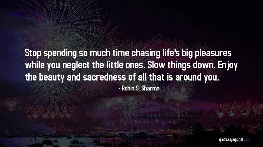 Enjoy The Little Things In Life Quotes By Robin S. Sharma