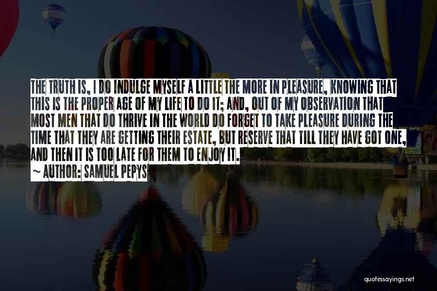 Enjoy The Little Things In Life Quotes By Samuel Pepys
