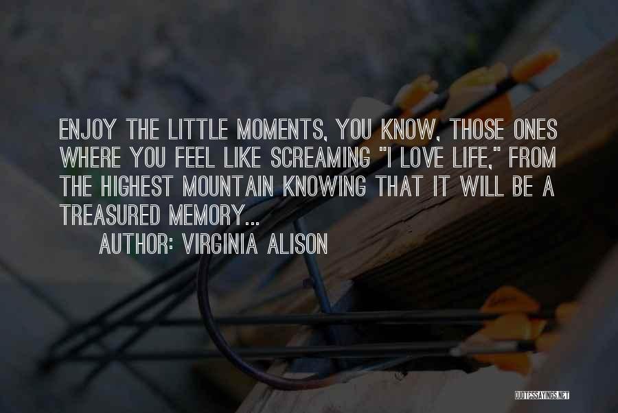 Enjoy The Little Things In Life Quotes By Virginia Alison