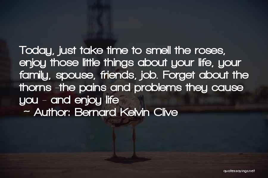 Enjoy The Little Things Quotes By Bernard Kelvin Clive