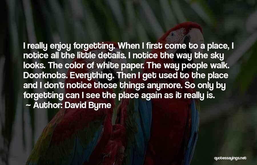 Enjoy The Little Things Quotes By David Byrne