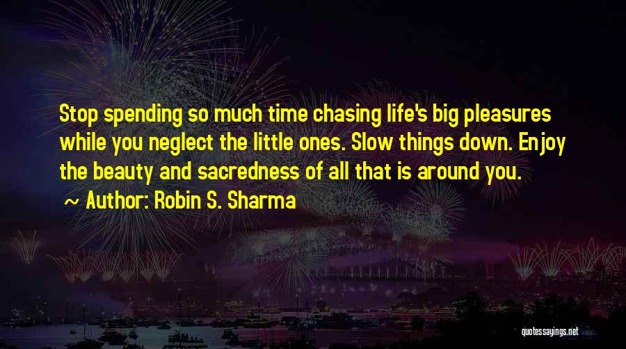 Enjoy The Little Things Quotes By Robin S. Sharma