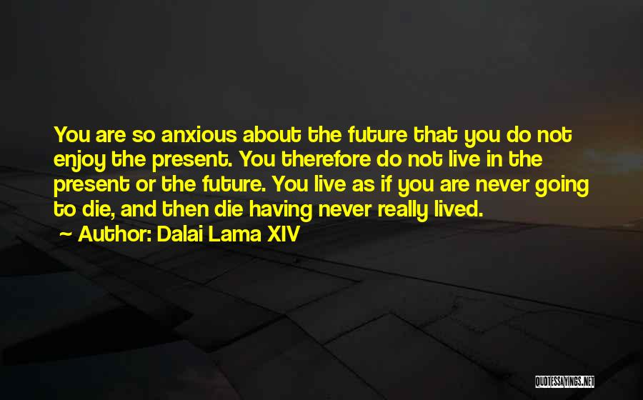 Enjoy The Present And The Future Quotes By Dalai Lama XIV