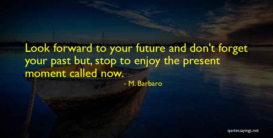 Enjoy The Present And The Future Quotes By M. Barbaro