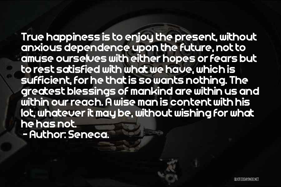 Enjoy The Present And The Future Quotes By Seneca.