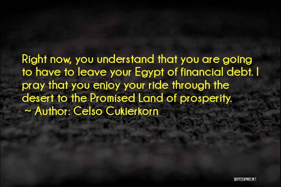 Enjoy The Ride Quotes By Celso Cukierkorn