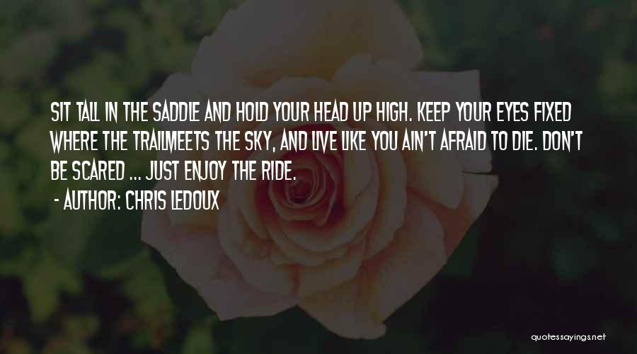 Enjoy The Ride Quotes By Chris LeDoux