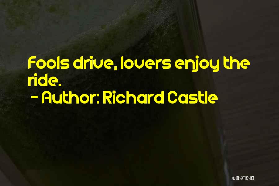 Enjoy The Ride Quotes By Richard Castle