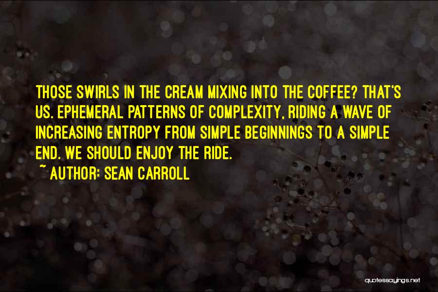 Enjoy The Ride Quotes By Sean Carroll