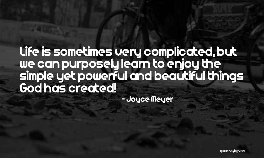 Enjoy The Simple Things In Life Quotes By Joyce Meyer