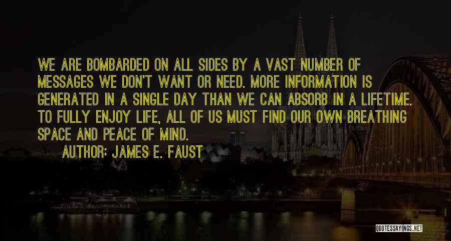 Enjoy The Single Life Quotes By James E. Faust