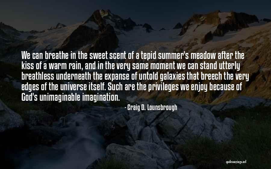 Enjoy The Summer Quotes By Craig D. Lounsbrough