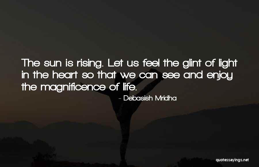 Enjoy The Sun Quotes By Debasish Mridha Enjoy The Sun Quotes By Debasish Mridha