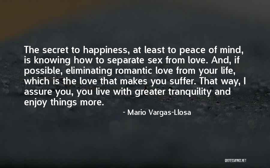 Enjoy The Things You Love Quotes By Mario Vargas-Llosa Enjoy The Things You Love Quotes By Mario Vargas-Llosa