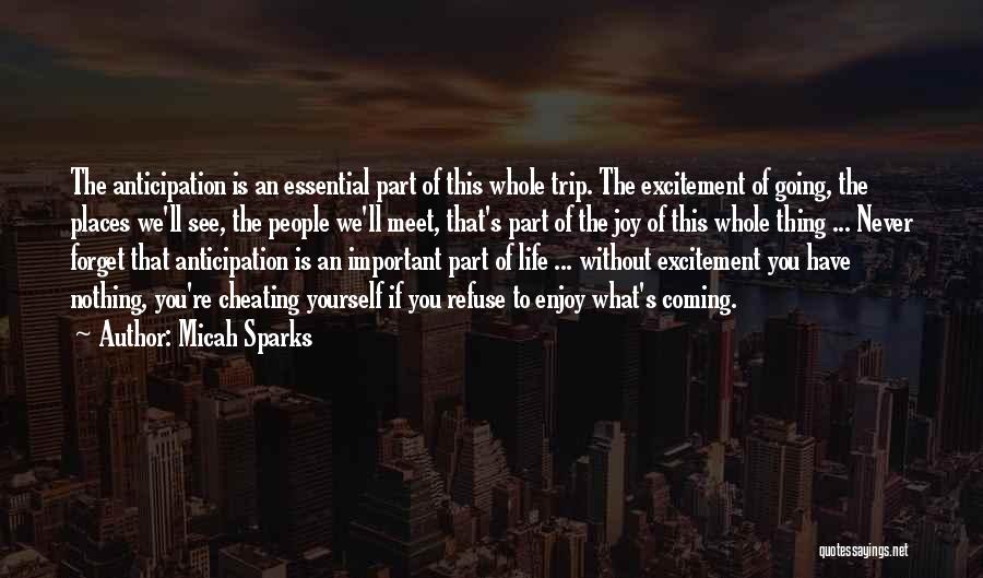 Enjoy The Trip Quotes By Micah Sparks