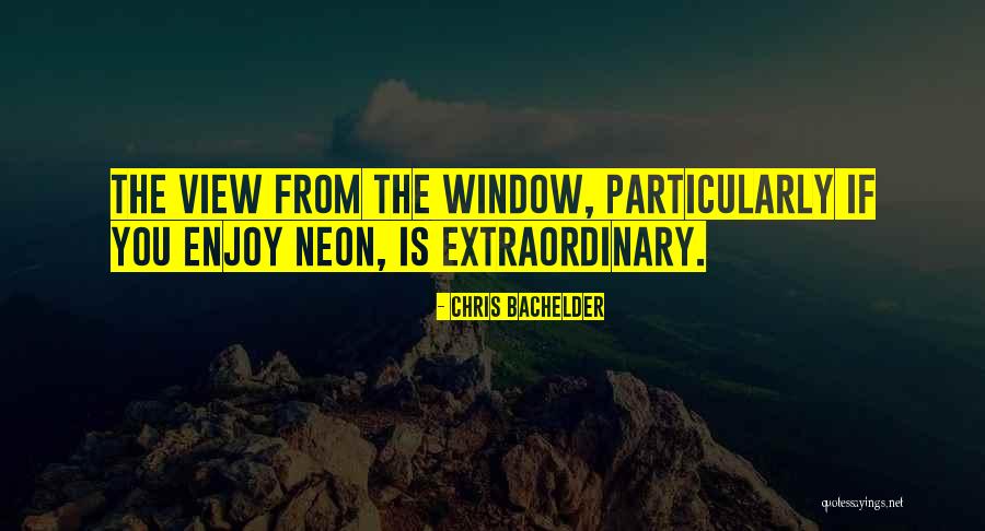 Enjoy The View Quotes By Chris Bachelder