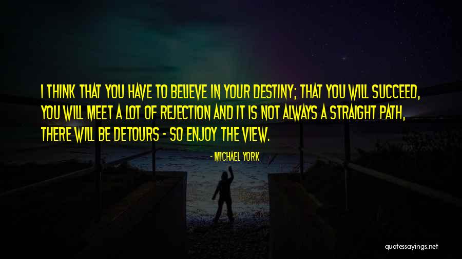 Enjoy The View Quotes By Michael York