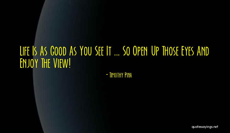 Enjoy The View Quotes By Timothy Pina Enjoy The View Quotes By Timothy Pina