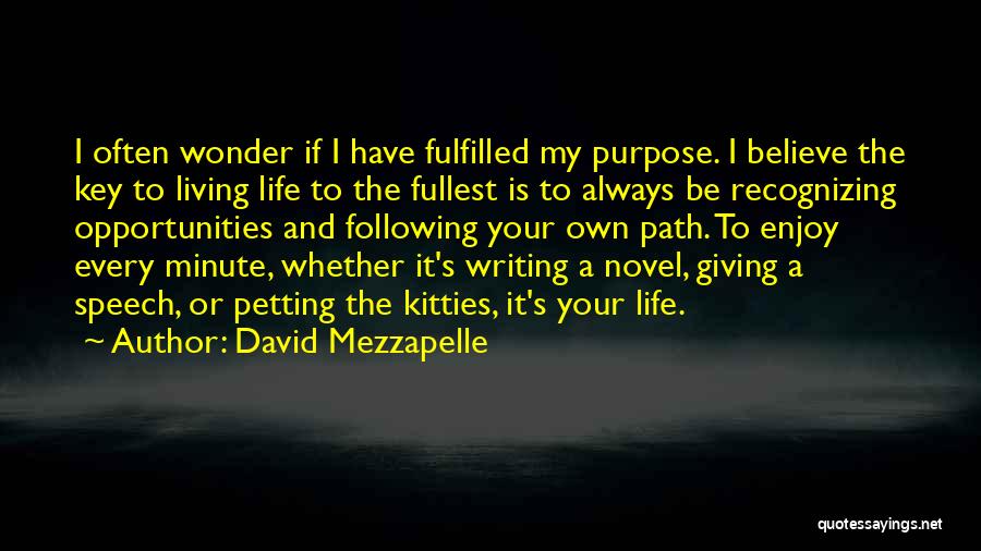 Enjoy To The Fullest Quotes By David Mezzapelle