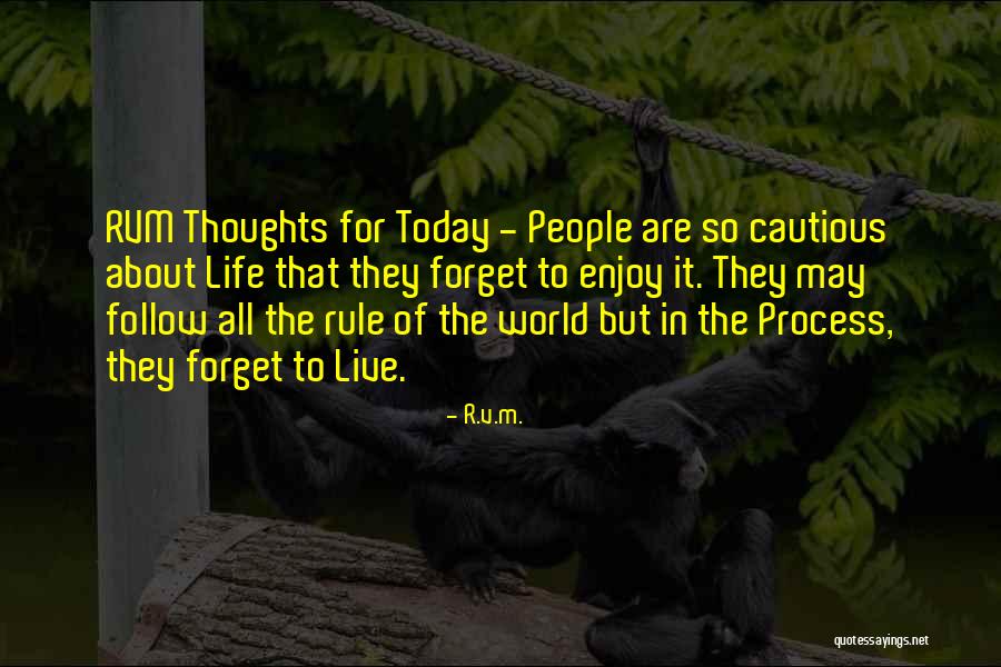 Enjoy Today Quotes By R.v.m.