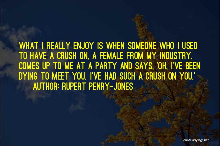 Enjoy What You Have Quotes By Rupert Penry-Jones