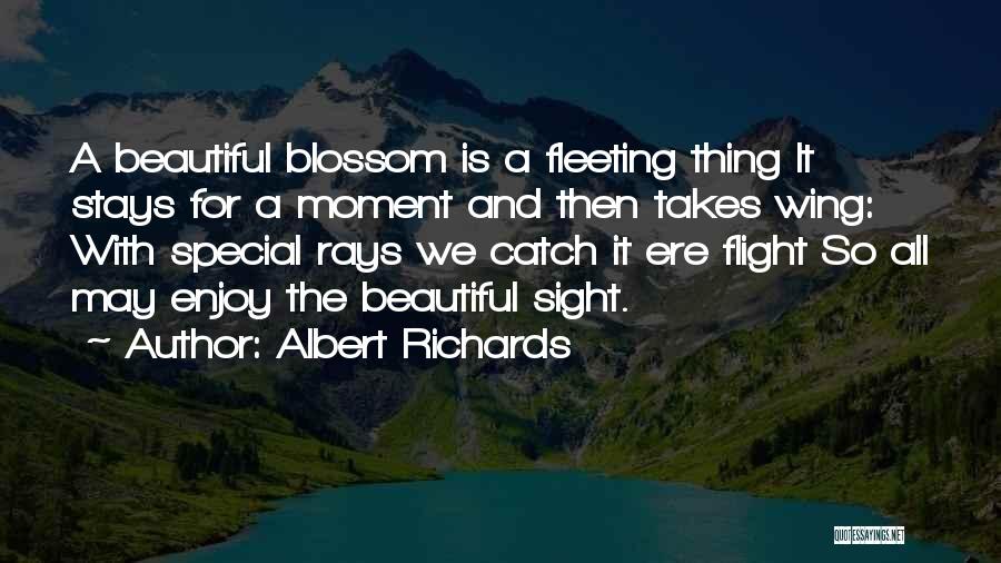 Enjoy Your Flight Quotes By Albert Richards