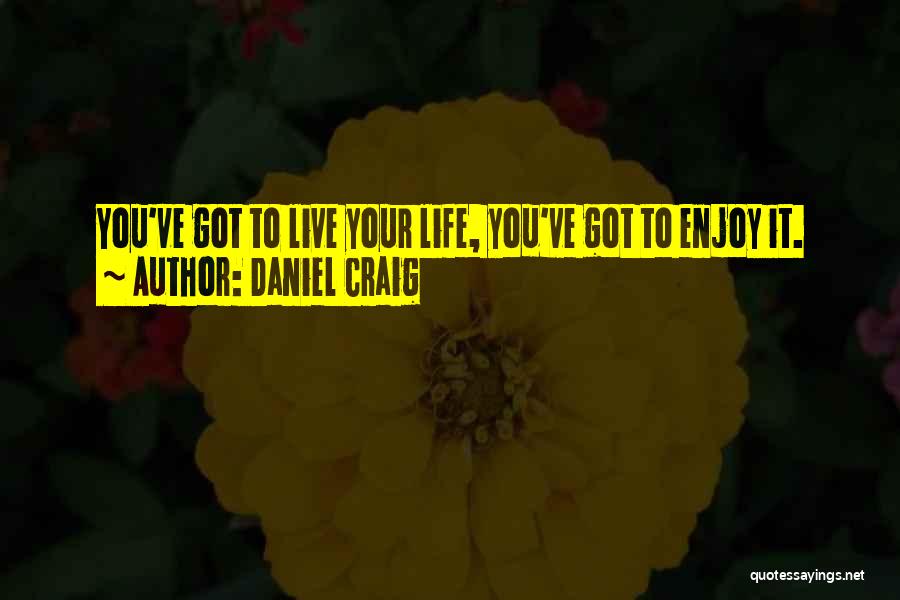 Enjoy Your Life Quotes By Daniel Craig