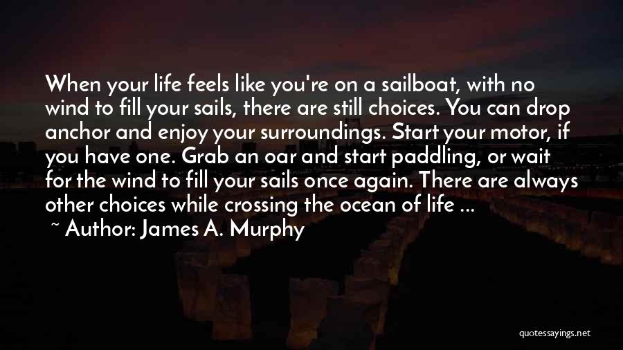 Enjoy Your Life Quotes By James A. Murphy