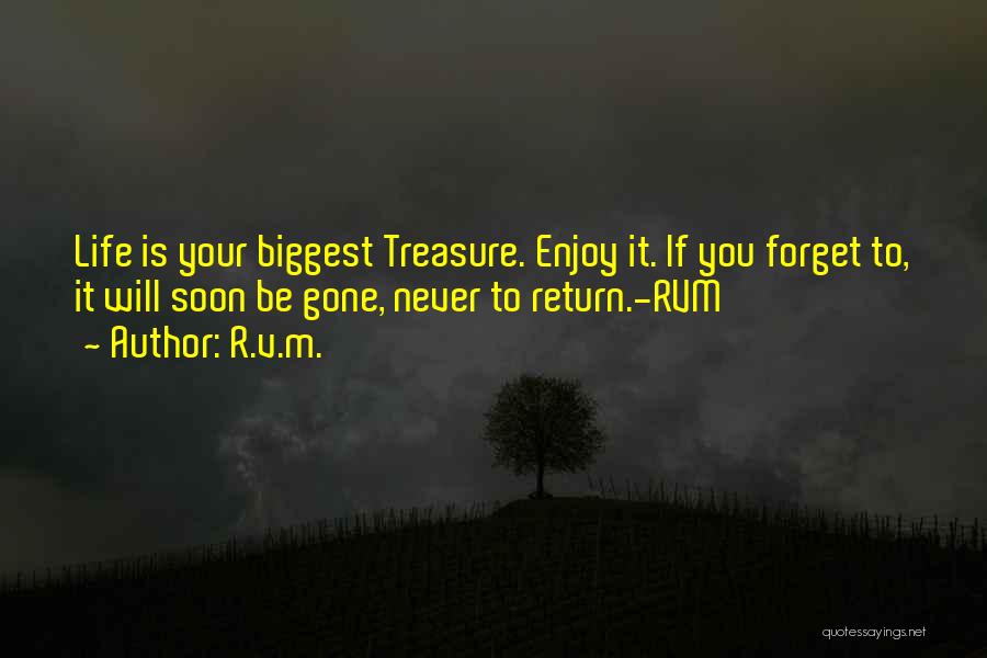 Enjoy Your Life Quotes By R.v.m.