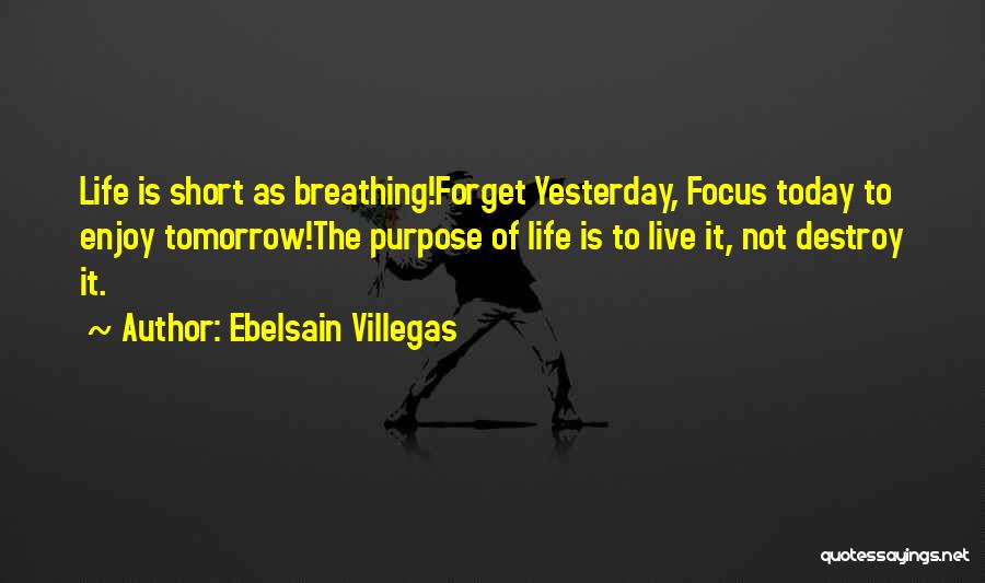 Enjoy Your Life Short Quotes By Ebelsain Villegas