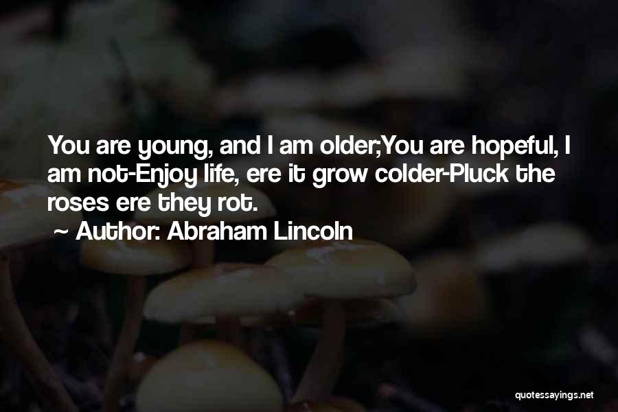 Enjoy Your Life While You're Young Quotes By Abraham Lincoln