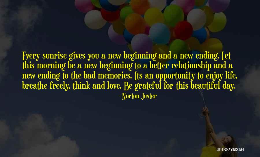 Enjoy Your New Life Quotes By Norton Juster