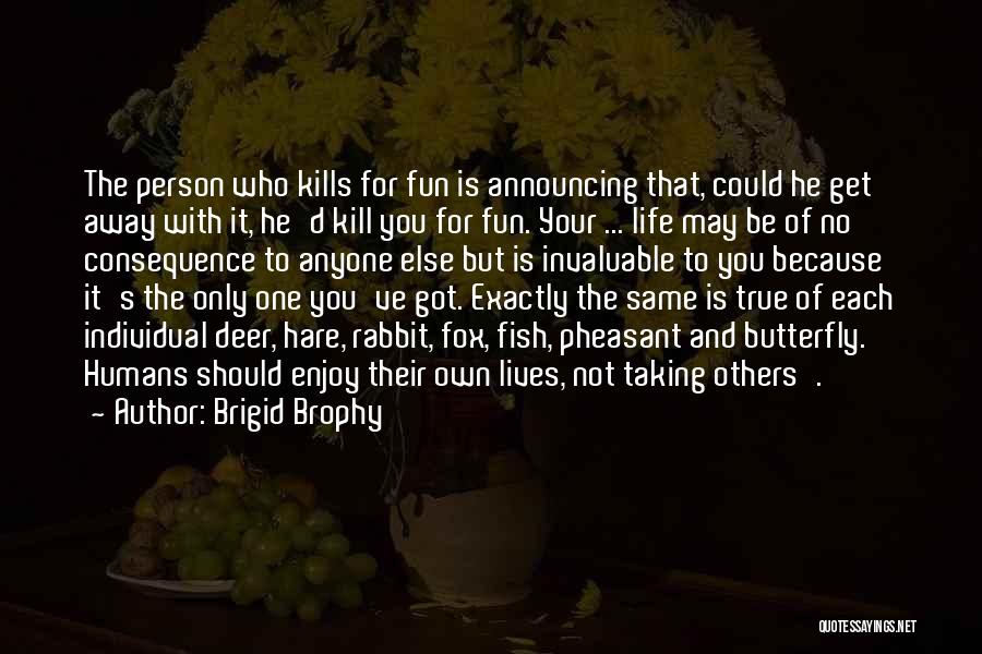 Enjoy Your Own Life Quotes By Brigid Brophy