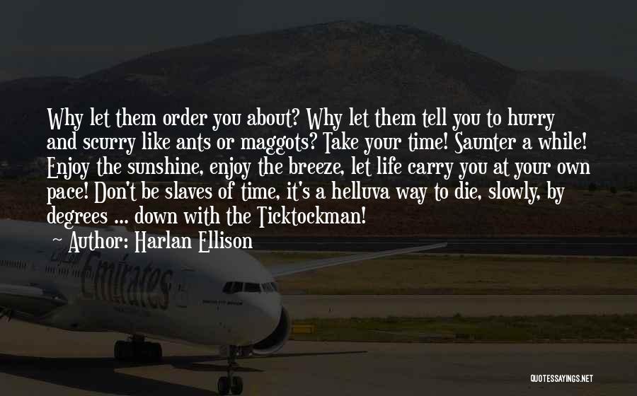 Enjoy Your Own Life Quotes By Harlan Ellison