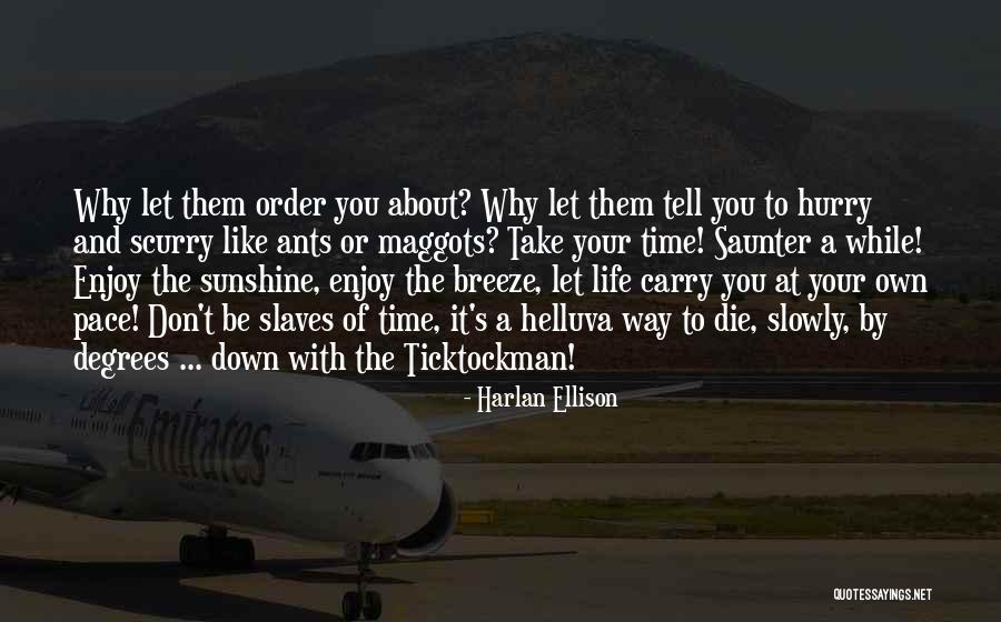 Enjoy Your Own Life Quotes By Harlan Ellison