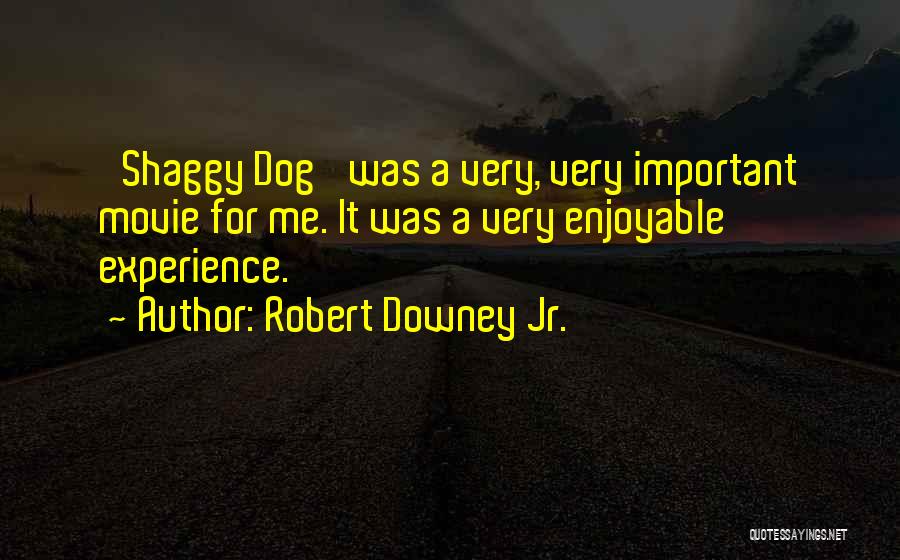 Enjoyable Experience Quotes By Robert Downey Jr.