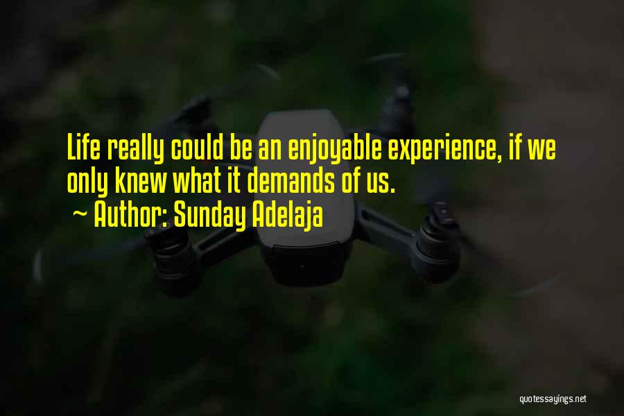 Enjoyable Experience Quotes By Sunday Adelaja