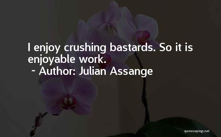 Enjoyable Work Quotes By Julian Assange