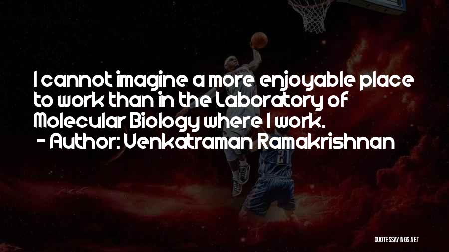 Enjoyable Work Quotes By Venkatraman Ramakrishnan
